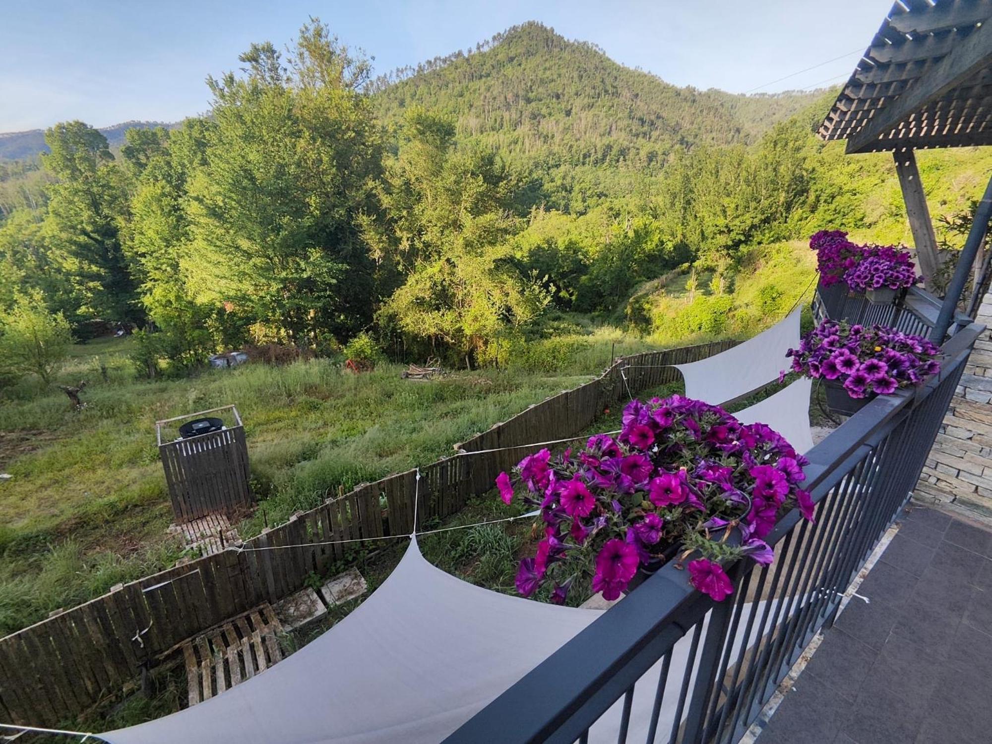 Agriturismo Terre Di Ginepro Borghetto di Vara Eksteriør billede